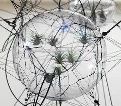 Giorgio Linguaglossa