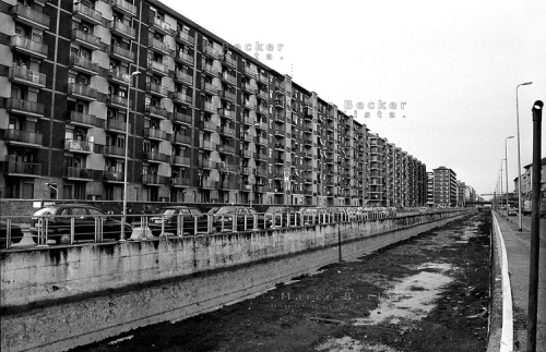 Giorgio Linguaglossa