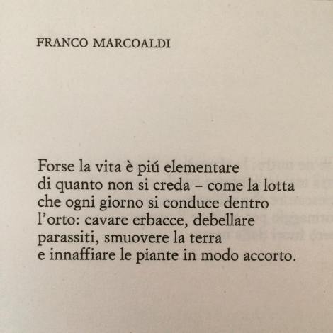 Giorgio Linguaglossa